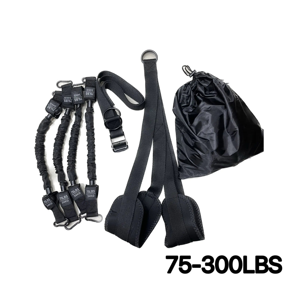 Pull-Up Assist Strap
