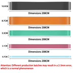 Heavy Resistance Loop Bands