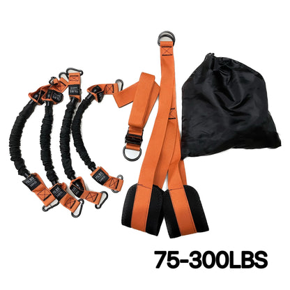 Pull-Up Assist Strap