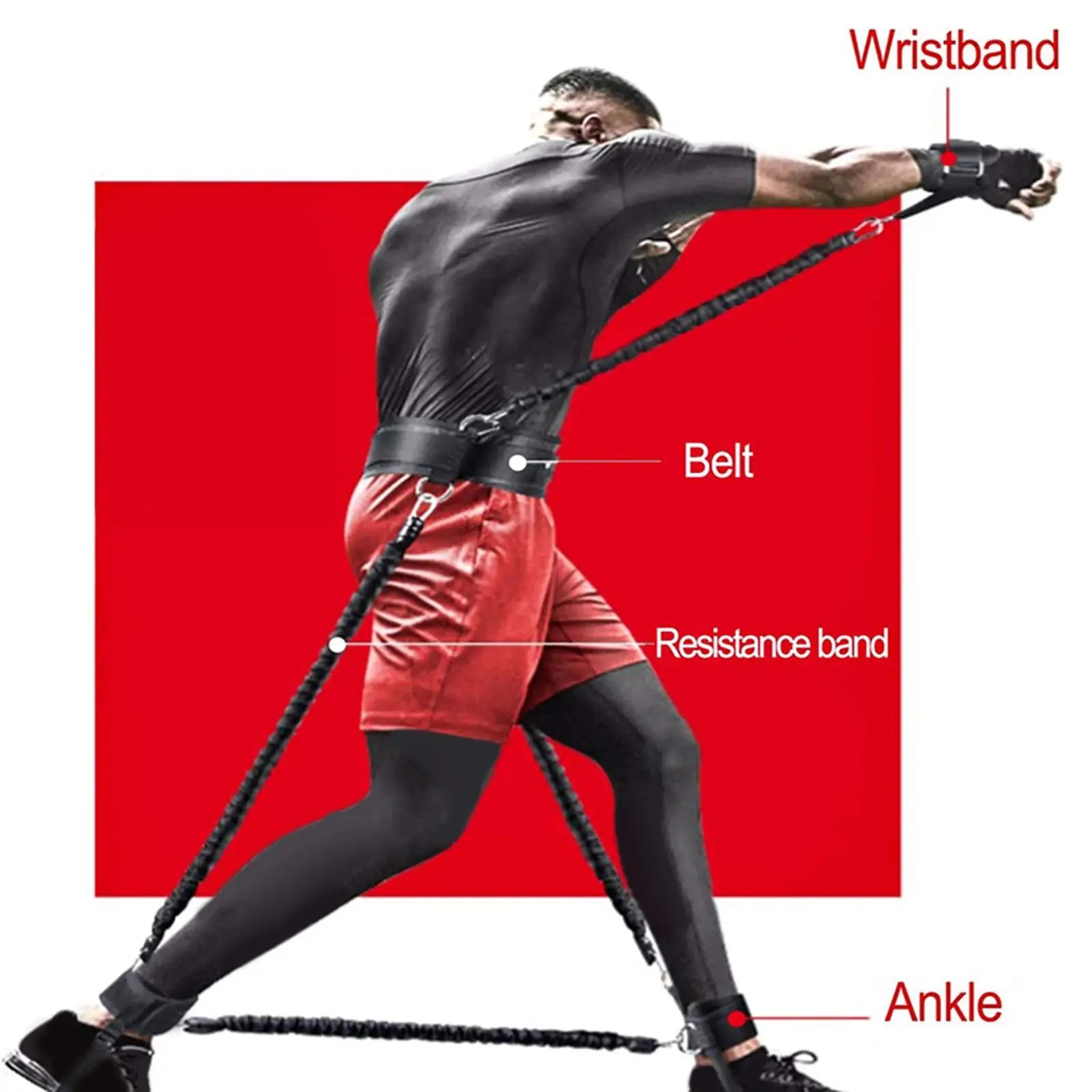 Punch Resistance Belt
