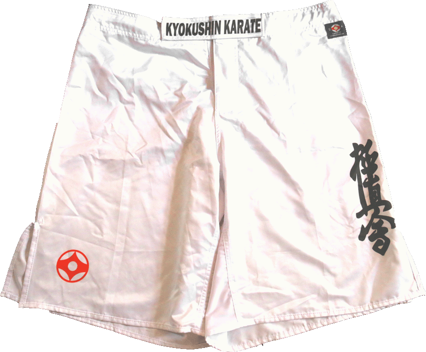 Kyokushin MMA Shorts –  Cross Training